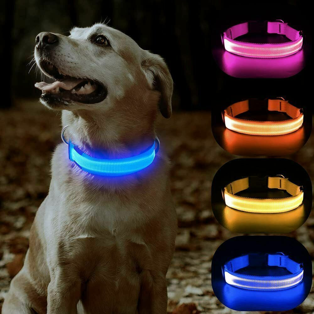 USB Rechargeable LED Pet Dog Collar - MyPet24 MyPet24 My Store USB Rechargeable LED Pet Dog Collar