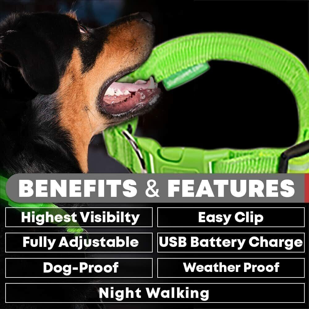 USB Rechargeable LED Pet Dog Collar - MyPet24 MyPet24 My Store USB Rechargeable LED Pet Dog Collar