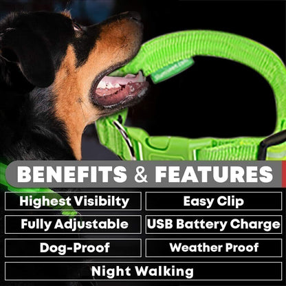 USB Rechargeable LED Pet Dog Collar - MyPet24 MyPet24 My Store USB Rechargeable LED Pet Dog Collar