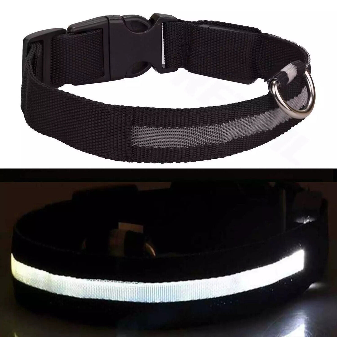 USB Rechargeable LED Pet Dog Collar - MyPet24 MyPet24 Black / Large (45-52Cm ) My Store USB Rechargeable LED Pet Dog Collar