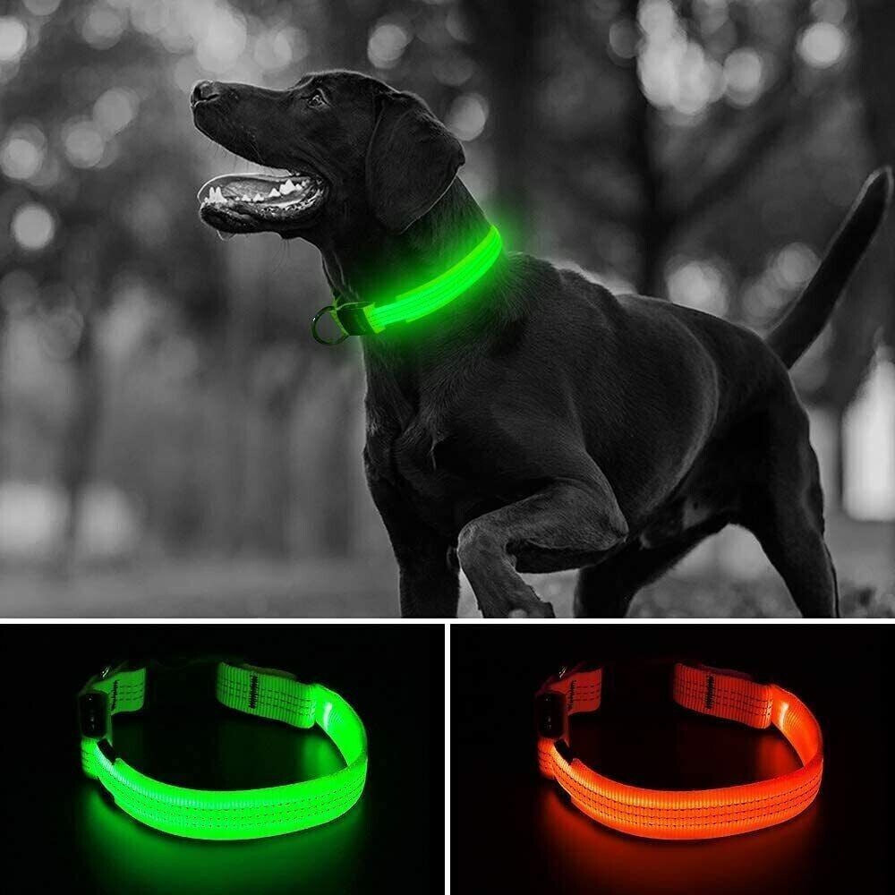 USB Rechargeable LED Pet Dog Collar - MyPet24 MyPet24 My Store USB Rechargeable LED Pet Dog Collar