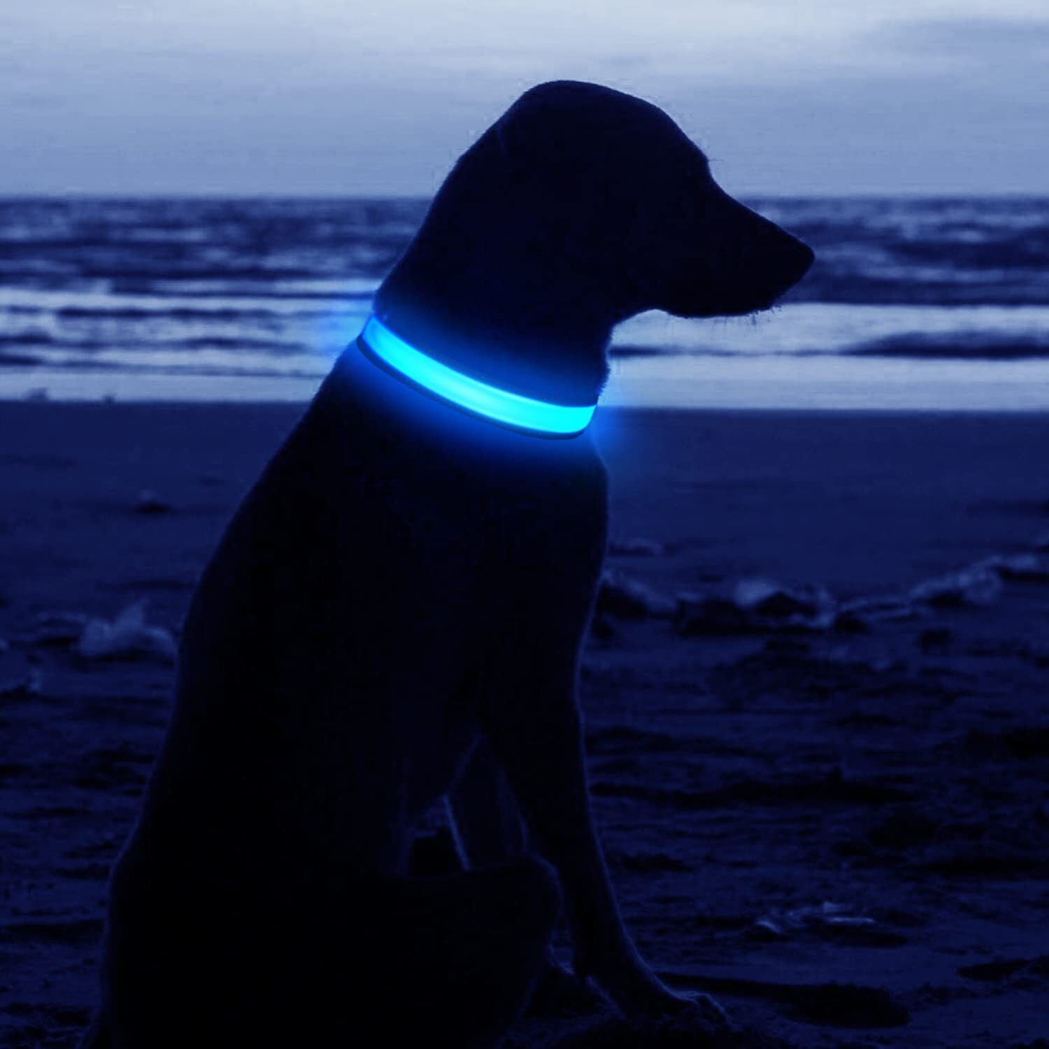 USB Rechargeable LED Pet Dog Collar - MyPet24 MyPet24 My Store USB Rechargeable LED Pet Dog Collar