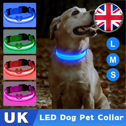 USB Rechargeable LED Pet Dog Collar - MyPet24 MyPet24 My Store USB Rechargeable LED Pet Dog Collar