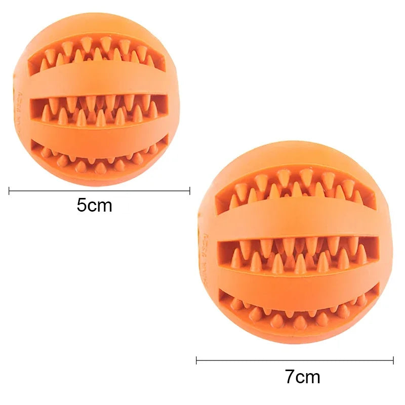 Dog Ball Toy - MyPet24 MyPet24 MyPet24 Dog Ball Toy