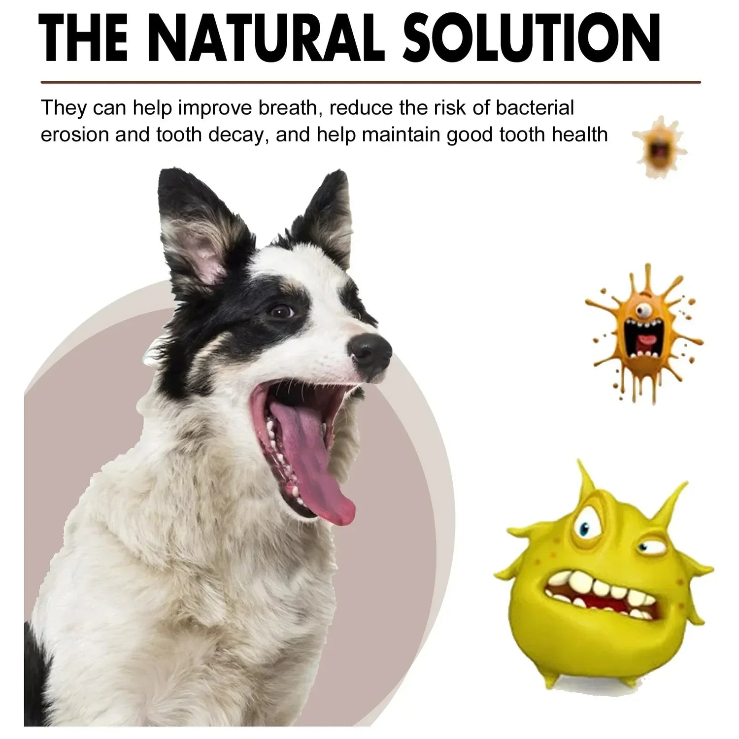 Pet Tooth Cleaning Spray for Fresh Breath – 30ml