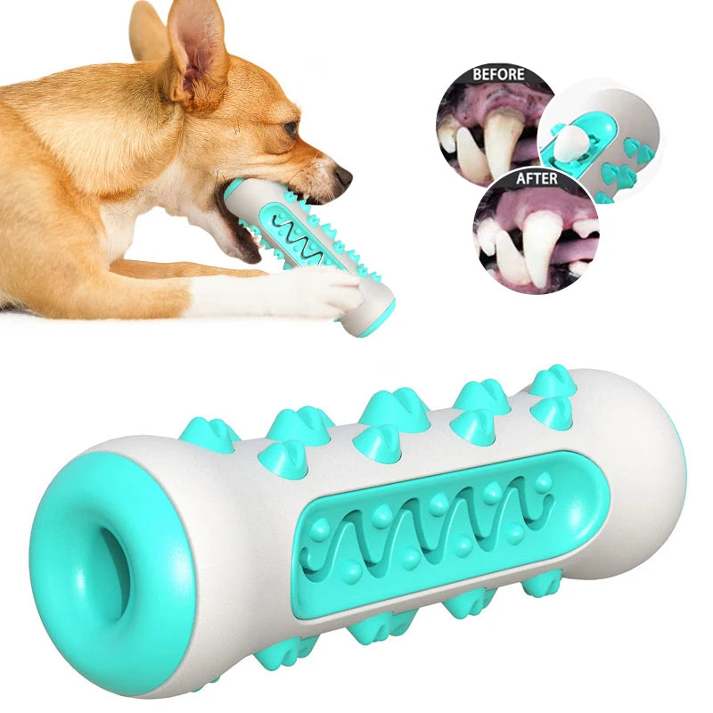 Dog Toothbrush Toy - MyPet24 MyPet24 MyPet24 Dog Toothbrush Toy