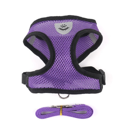 Adjustable Mesh Harness and Leash Set - MyPet24 MyPet24 Purple / XL MyPet24 Adjustable Mesh Harness and Leash Set