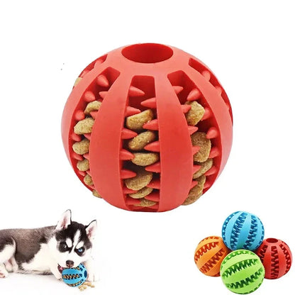 Dog Ball Toy - MyPet24 MyPet24 MyPet24 Dog Ball Toy