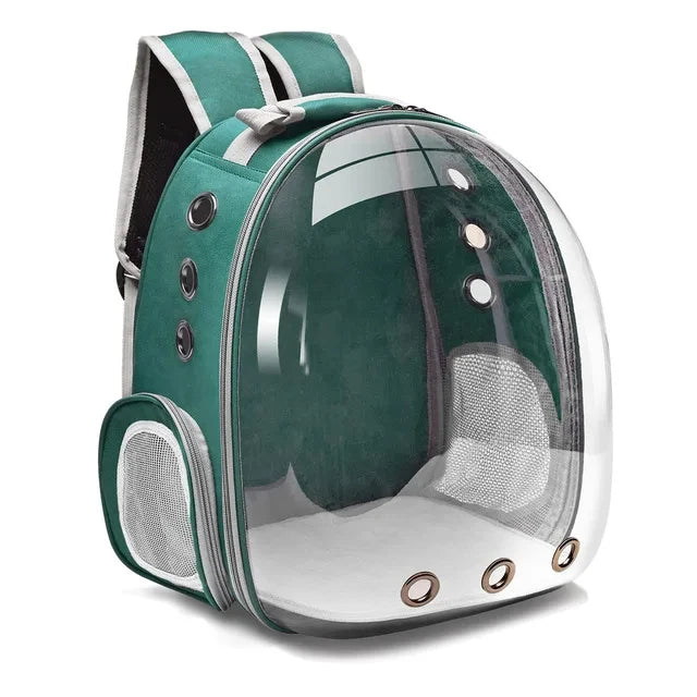 Transparent Capsule Pet Backpack - MyPet24 MyPet24 Green / 40x16x34cm MyPet24 Transparent Capsule Pet Backpack