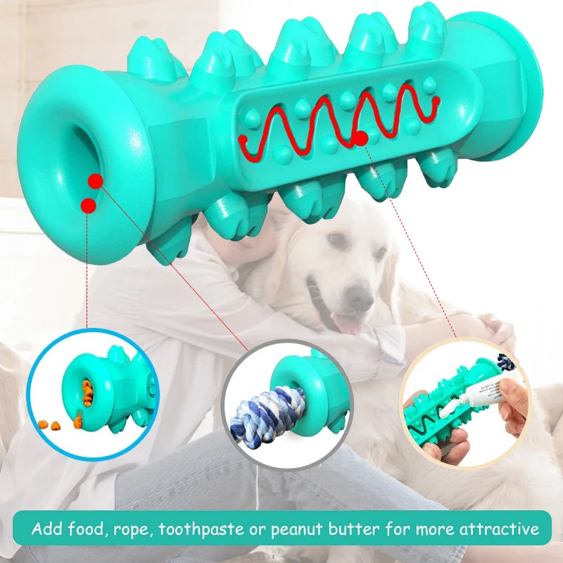 Dog Toothbrush Toy - MyPet24 MyPet24 MyPet24 Dog Toothbrush Toy