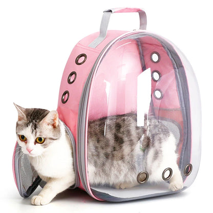 Transparent Capsule Pet Backpack - MyPet24 MyPet24 MyPet24 Transparent Capsule Pet Backpack