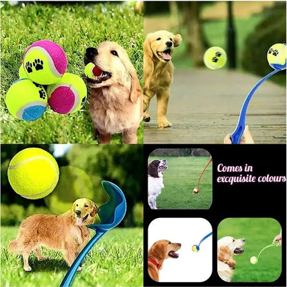 Pet Tennis Ball Launcher for Dogs – Outdoor Training &amp; Play Toy - MyPet24 MyPet24 MyPet24 Pet Tennis Ball Launcher for Dogs – Outdoor Training &amp; Play Toy