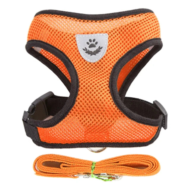 Adjustable Mesh Harness and Leash Set - MyPet24 MyPet24 Orange / XL MyPet24 Adjustable Mesh Harness and Leash Set