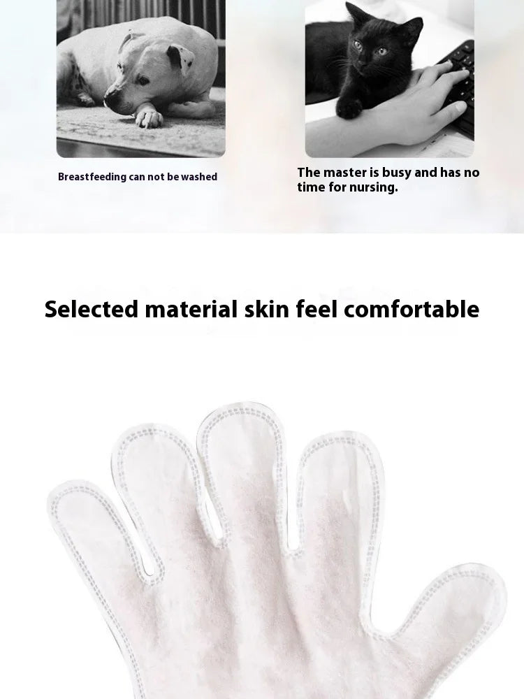 Pet Spa Gloves – Wash-Free Cleaning &amp; Stain Removal for Cats and Dogs - MyPet24 MyPet24 MyPet24 Pet Spa Gloves – Wash-Free Cleaning &amp; Stain Removal for Cats and Dogs