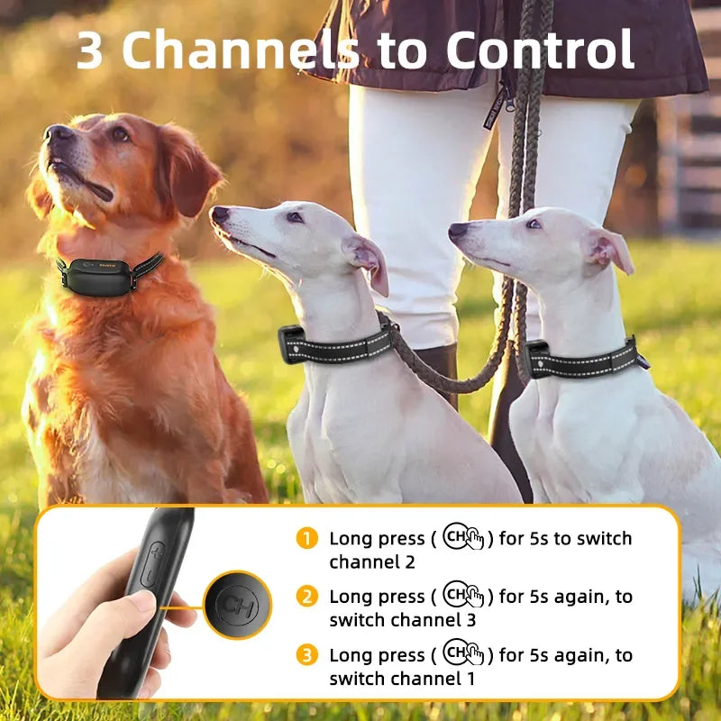 Electric Dog Training Collar - MyPet24 MyPet24 MyPet24 Electric Dog Training Collar