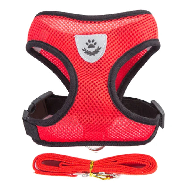 Adjustable Mesh Harness and Leash Set - MyPet24 MyPet24 Red / S MyPet24 Adjustable Mesh Harness and Leash Set