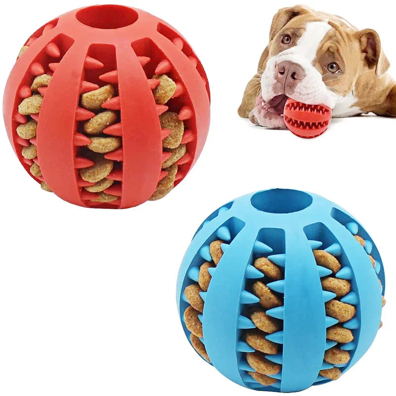 Dog Ball Toy - MyPet24 MyPet24 MyPet24 Dog Ball Toy