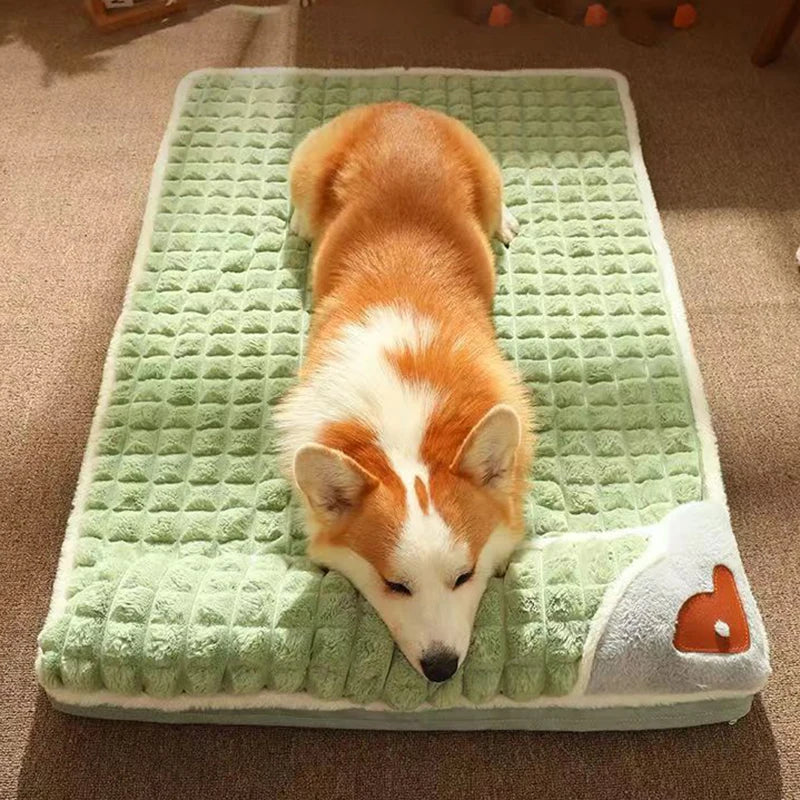 Pet Mattress Bed - MyPet24 MyPet24 MyPet24 Pet Mattress Bed