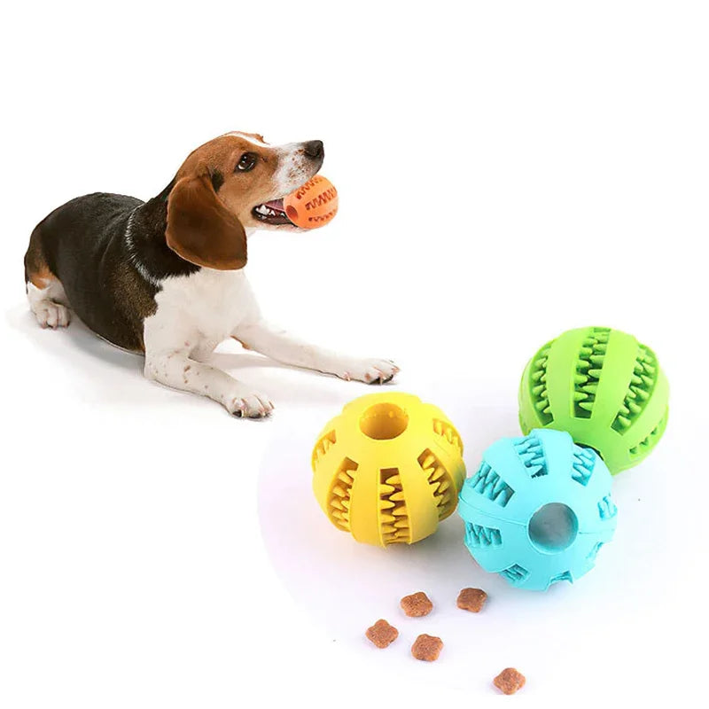 Dog Ball Toy - MyPet24 MyPet24 MyPet24 Dog Ball Toy