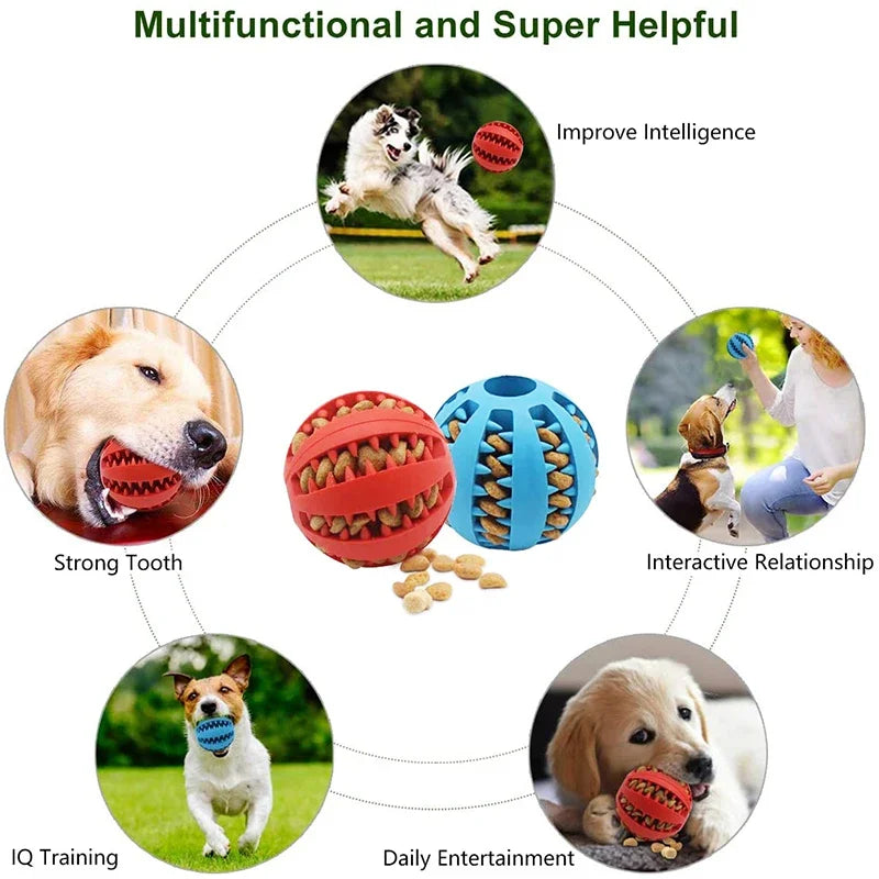 Dog Ball Toy - MyPet24 MyPet24 MyPet24 Dog Ball Toy