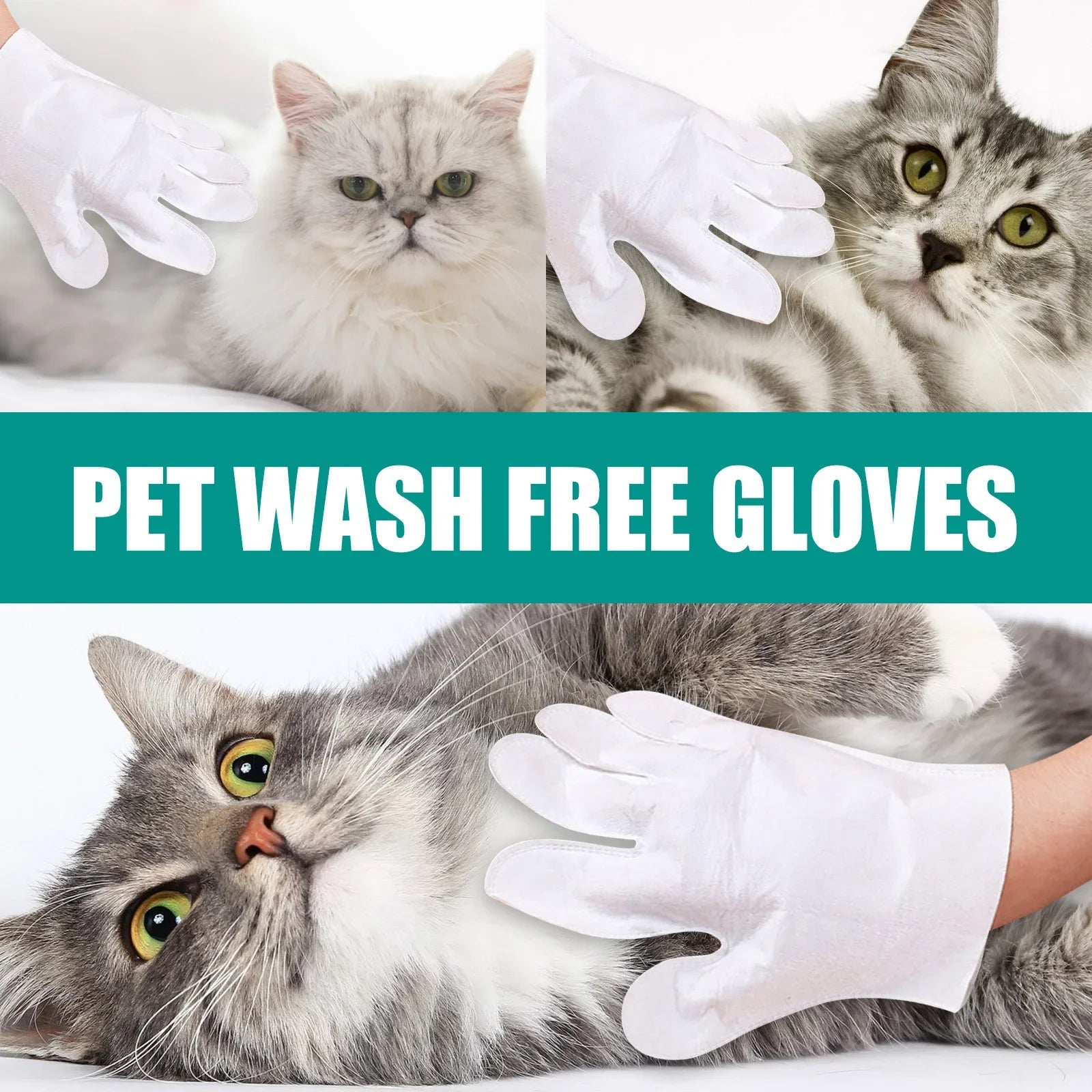 Pet Disposable Cleaning Gloves - MyPet24 MyPet24 MyPet24 Pet Disposable Cleaning Gloves