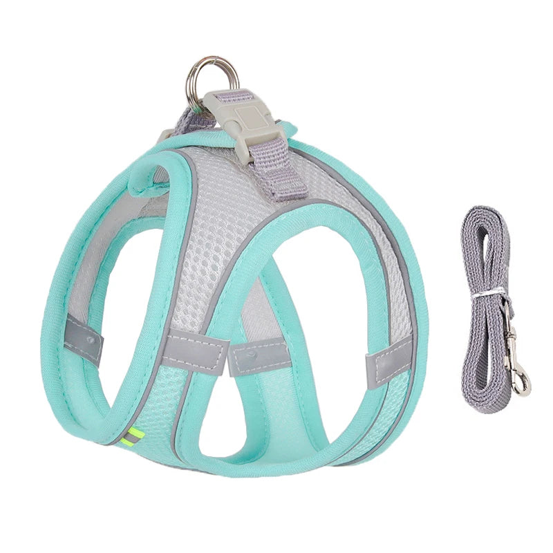 Cat &amp; Dog Harness Leash Set - MyPet24 MyPet24 Cyan / L 7-11 kg MyPet24 Cat &amp; Dog Harness Leash Set