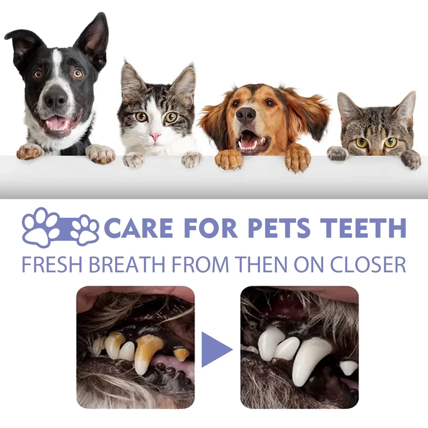 30ml Dog &amp; Cat Teeth Cleaning Spray – Freshens Breath &amp; Removes Stains