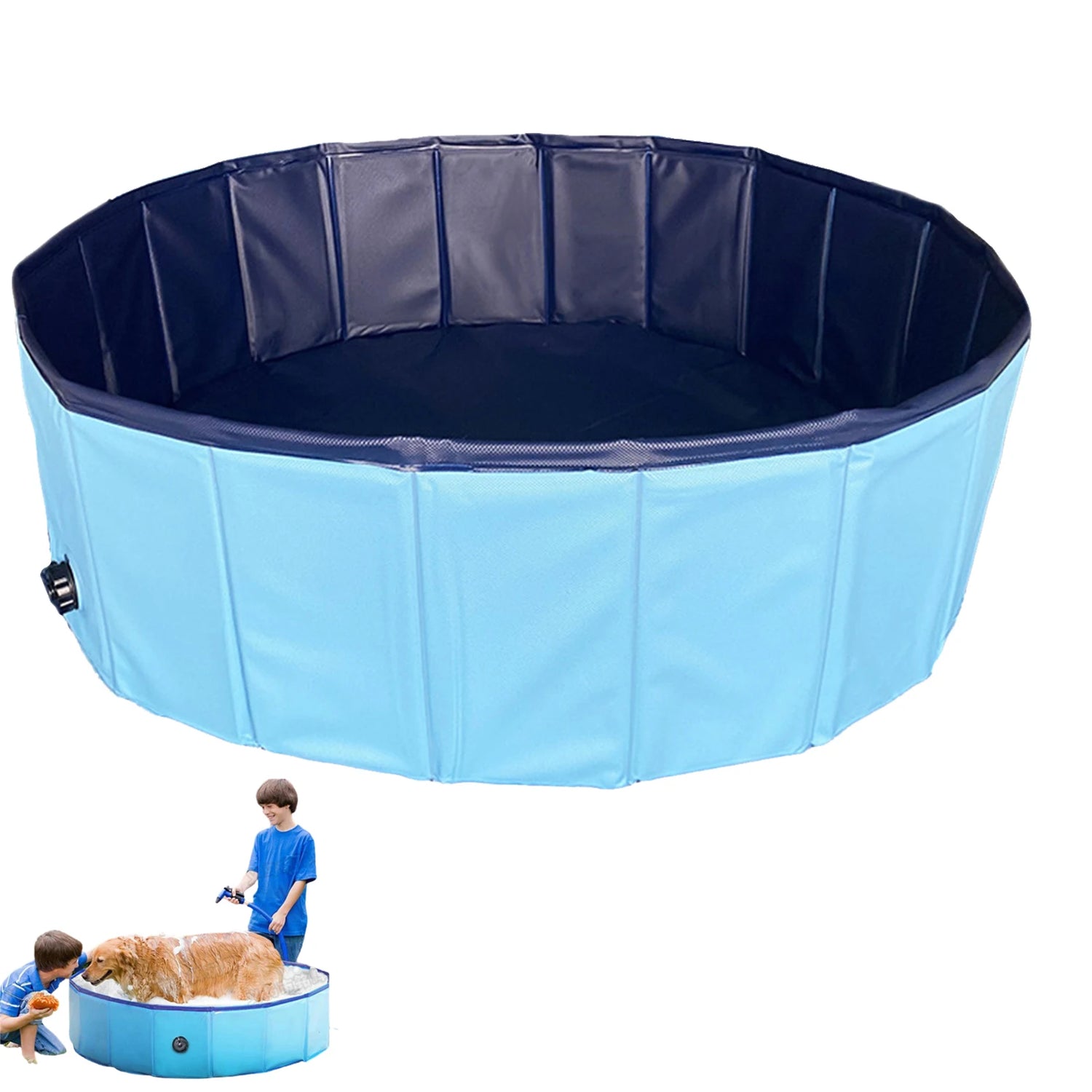 Portable Dogs Kiddie Pools - MyPet24 MyPet24 Blue / M MyPet24 Portable Dogs Kiddie Pools