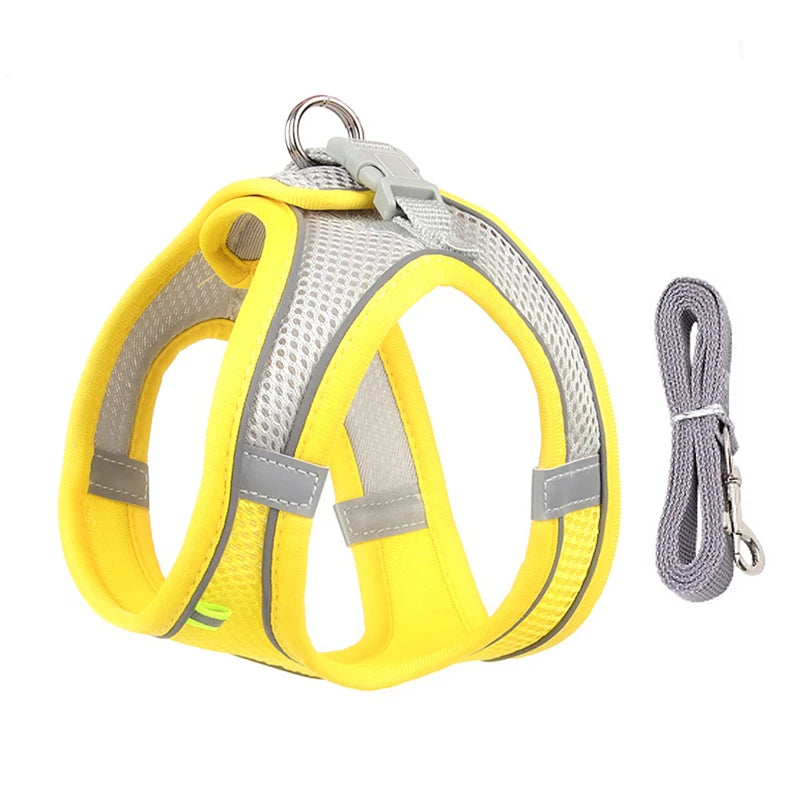 Cat &amp; Dog Harness Leash Set - MyPet24 MyPet24 Yellow / L 7-11 kg MyPet24 Cat &amp; Dog Harness Leash Set