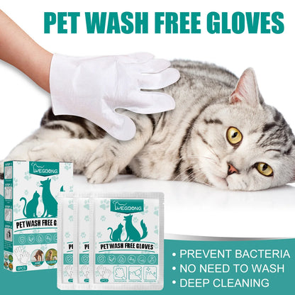 Pet Disposable Cleaning Gloves - MyPet24 MyPet24 MyPet24 Pet Disposable Cleaning Gloves