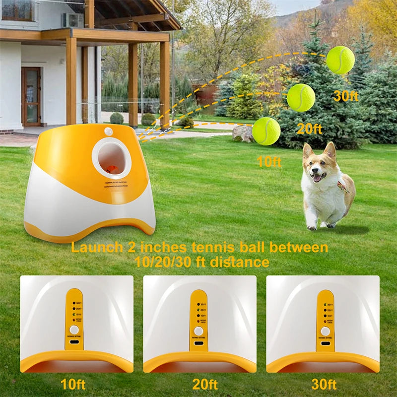 Automatic Tennis Thrower Dog Toy - MyPet24 MyPet24 MyPet24 Automatic Tennis Thrower Dog Toy