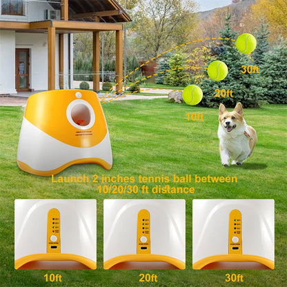 Automatic Tennis Thrower Dog Toy - MyPet24 MyPet24 MyPet24 Automatic Tennis Thrower Dog Toy