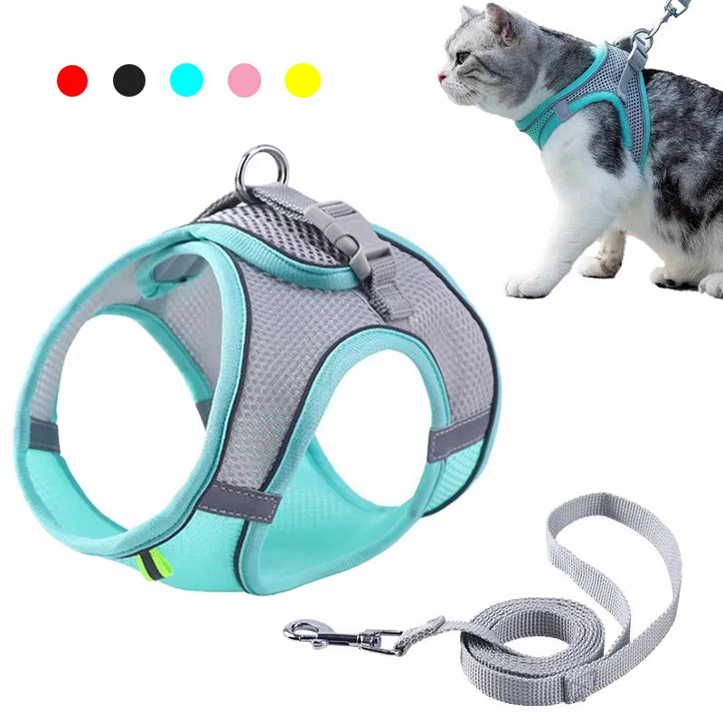 Cat &amp; Dog Harness Leash Set - MyPet24 MyPet24 MyPet24 Cat &amp; Dog Harness Leash Set