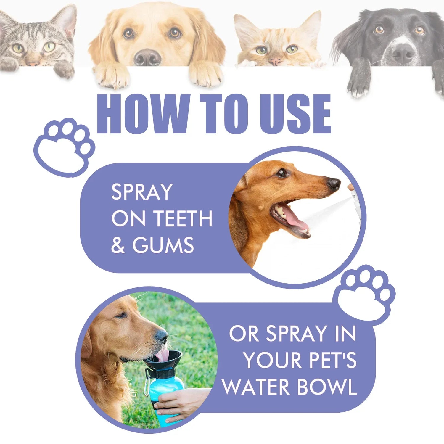 30ml Dog &amp; Cat Teeth Cleaning Spray – Freshens Breath &amp; Removes Stains