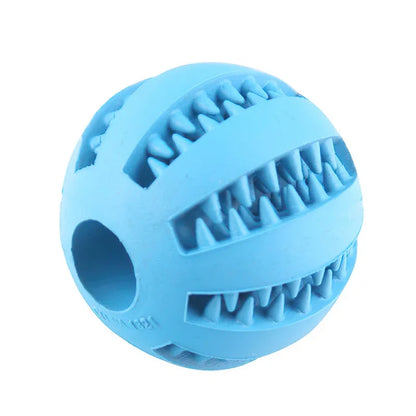 Dog Ball Toy - MyPet24 MyPet24 Blue / 7cm MyPet24 Dog Ball Toy