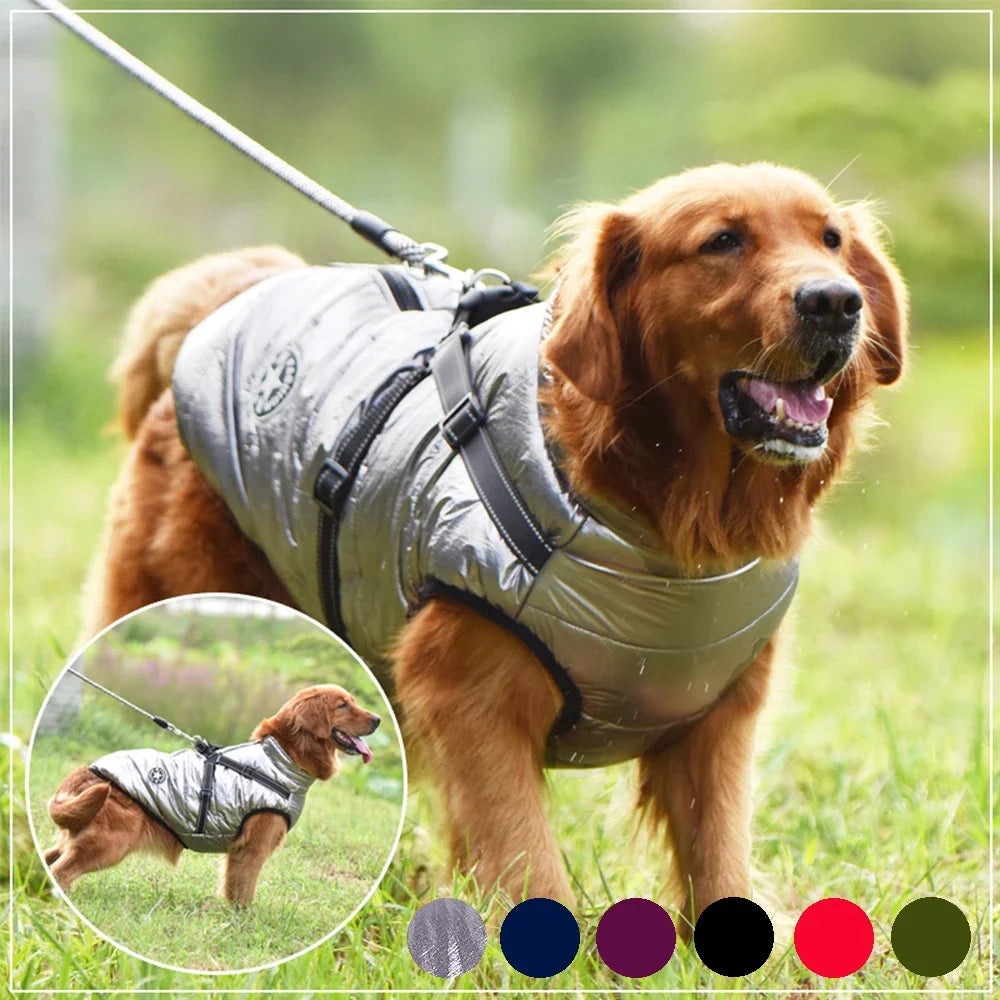 Fashion Vest for Dogs - MyPet24 MyPet24 MyPet24 Fashion Vest for Dogs