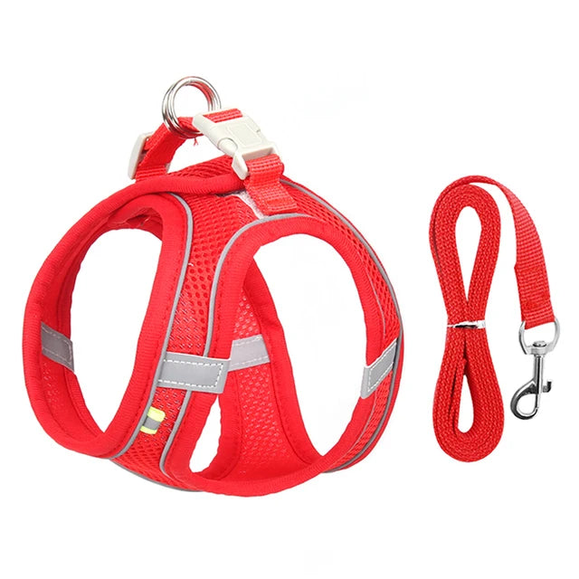 Cat &amp; Dog Harness Leash Set - MyPet24 MyPet24 Red / L 7-11 kg MyPet24 Cat &amp; Dog Harness Leash Set