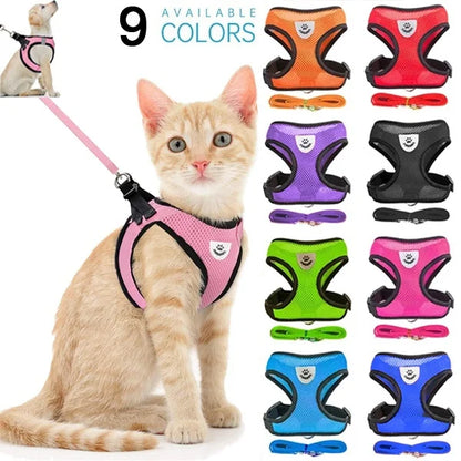 Adjustable Mesh Harness and Leash Set - MyPet24 MyPet24 MyPet24 Adjustable Mesh Harness and Leash Set