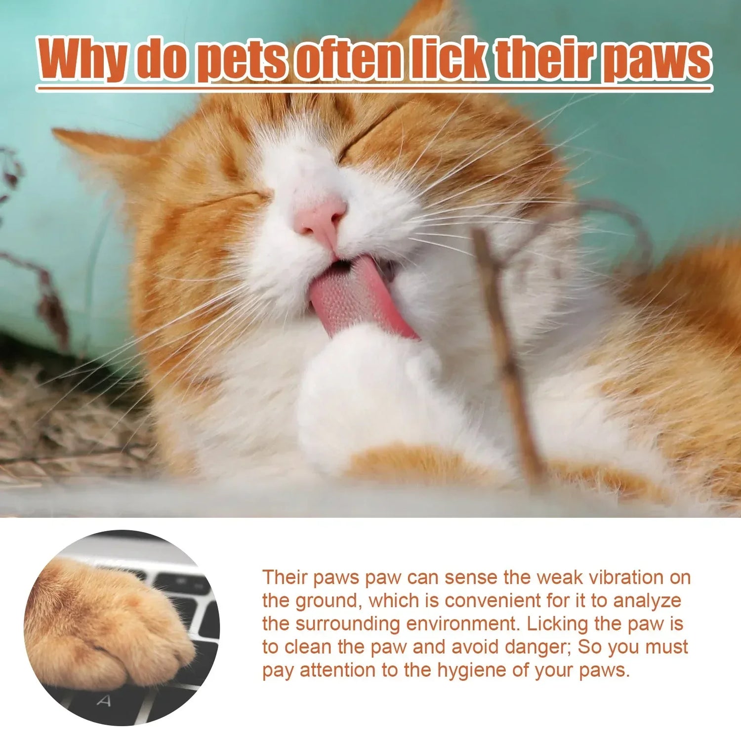 Pet Paw Care Cream for Cats &amp; Dogs