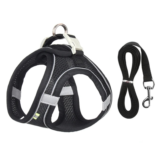 Cat &amp; Dog Harness Leash Set - MyPet24 MyPet24 Black / XXS 0.5-1.5 kg MyPet24 Cat &amp; Dog Harness Leash Set