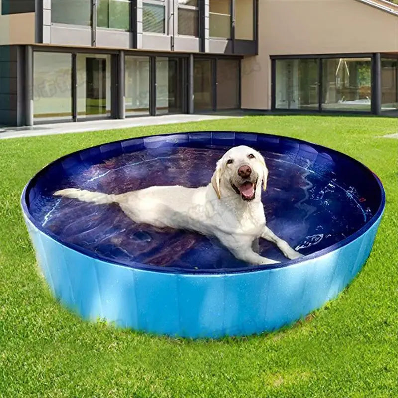 Portable Dogs Kiddie Pools - MyPet24 MyPet24 MyPet24 Portable Dogs Kiddie Pools