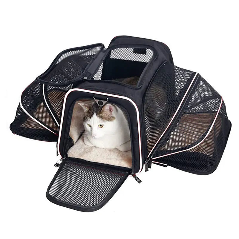 Portable Pet Carrier Backpack - MyPet24 MyPet24 MyPet24 Portable Pet Carrier Backpack