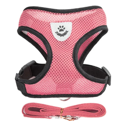 Adjustable Mesh Harness and Leash Set - MyPet24 MyPet24 Pink / XL MyPet24 Adjustable Mesh Harness and Leash Set