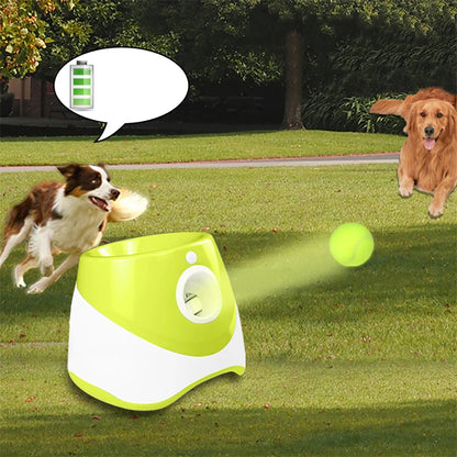 Automatic Tennis Thrower Dog Toy - MyPet24 MyPet24 MyPet24 Automatic Tennis Thrower Dog Toy