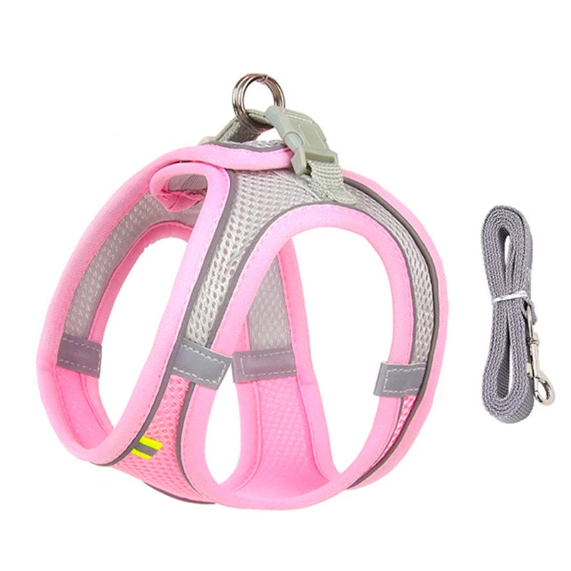 Cat &amp; Dog Harness Leash Set - MyPet24 MyPet24 Pink / XS 1.5-3 kg MyPet24 Cat &amp; Dog Harness Leash Set