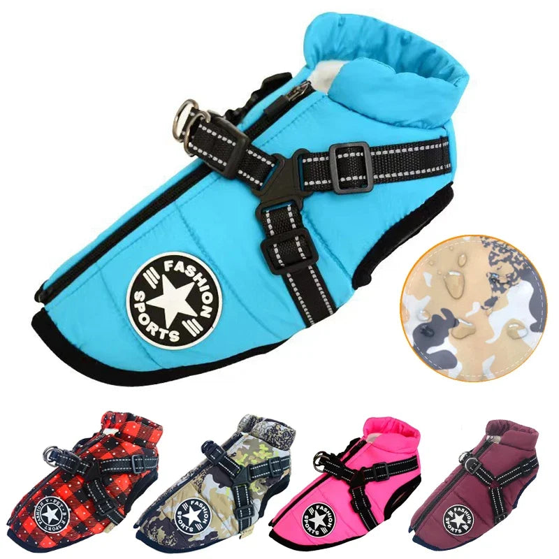 Fashion Vest for Dogs - MyPet24 MyPet24 MyPet24 Fashion Vest for Dogs