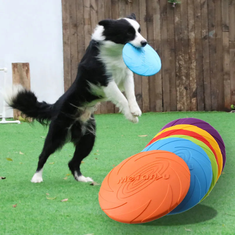 OUZEY Bite-Resistant Dog Training Flying Disc Toy - MyPet24 MyPet24 MyPet24 OUZEY Bite-Resistant Dog Training Flying Disc Toy