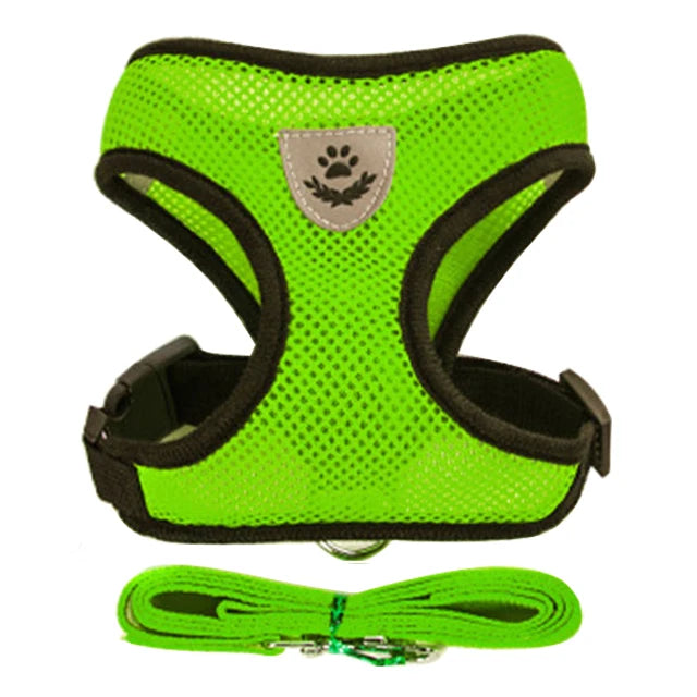 Adjustable Mesh Harness and Leash Set - MyPet24 MyPet24 Green / S MyPet24 Adjustable Mesh Harness and Leash Set