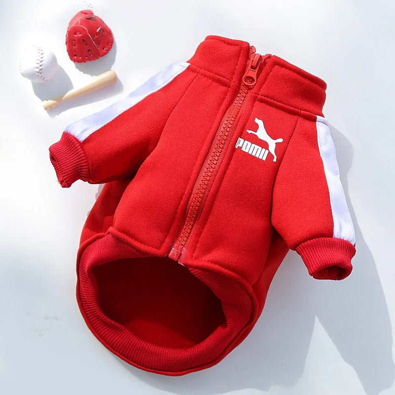 Baseball Dog Jacket - MyPet24 MyPet24 Red / 2XL 6-9 Kg MyPet24 Baseball Dog Jacket