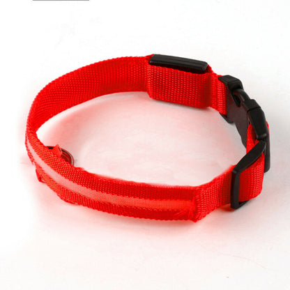 USB Rechargeable LED Pet Dog Collar - MyPet24 MyPet24 Red / Large (45-52Cm ) My Store USB Rechargeable LED Pet Dog Collar